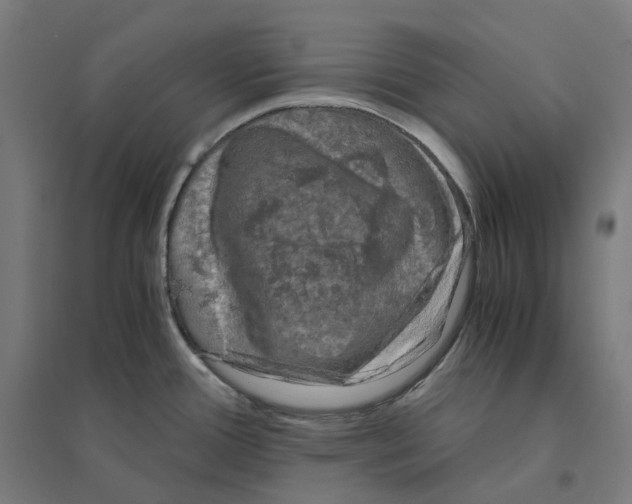 X0000094431388200712061104