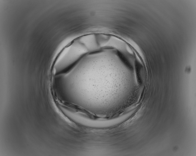 X0000094431389200712061104