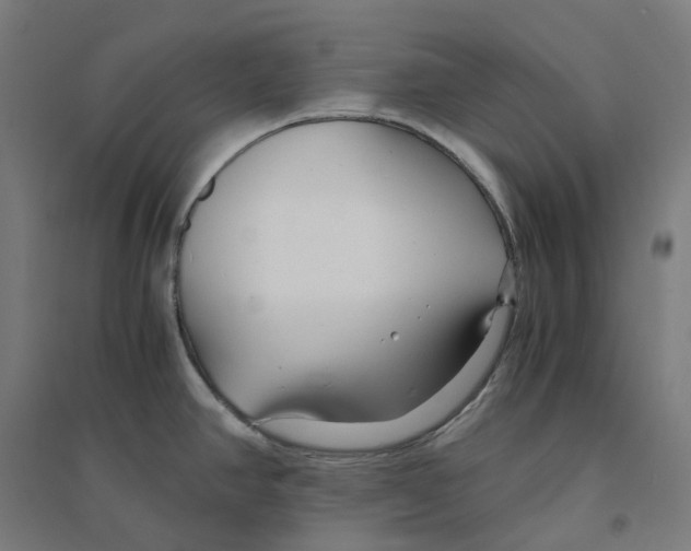 X0000094431390200712061104