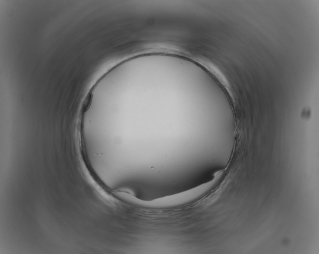 X0000094431391200712061104