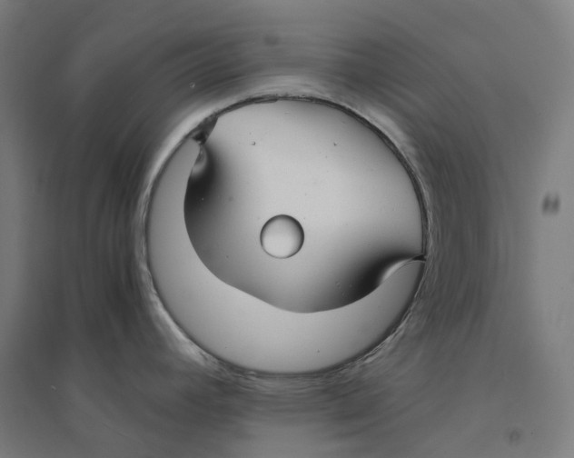 X0000094431392200712061104