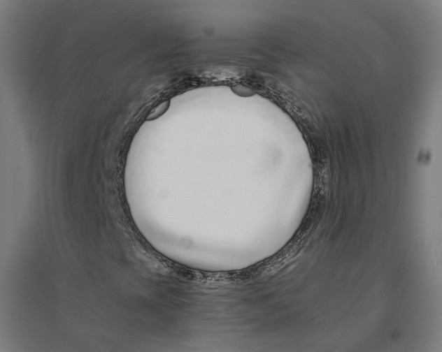 X0000094431393200712061103