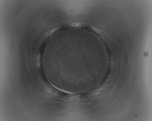 X0000094431394200712061103