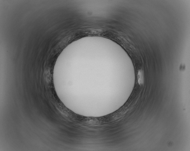 X0000094431395200712061103