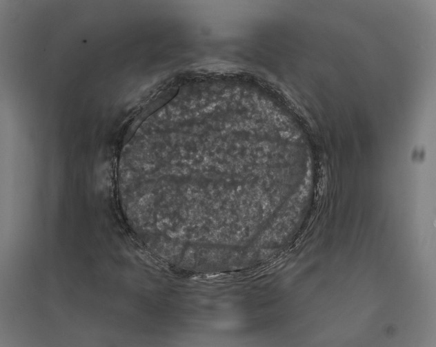 X0000094431397200712061104