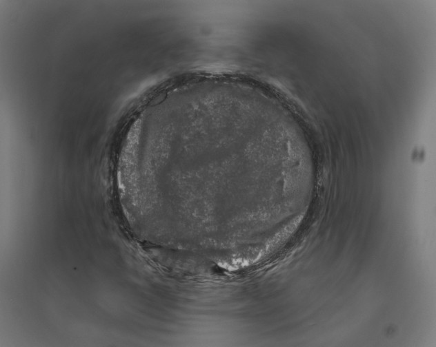 X0000094431398200712061104