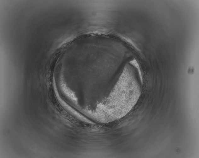 X0000094431399200712061104