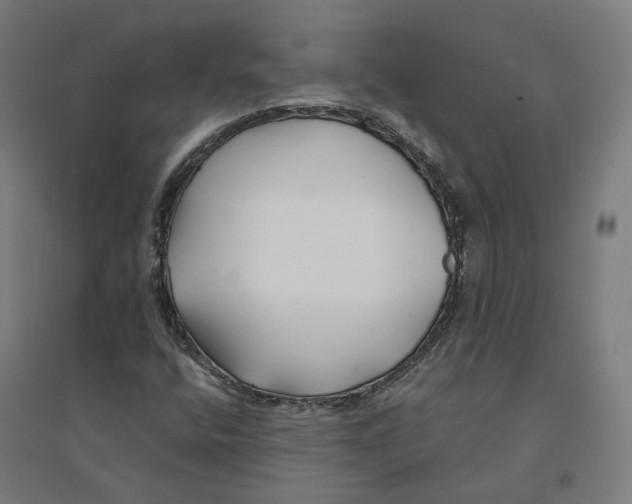 X0000094431400200712061104