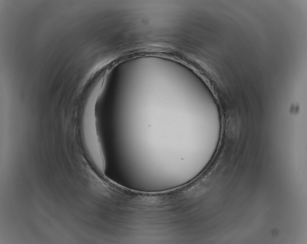 X0000094431402200712061104