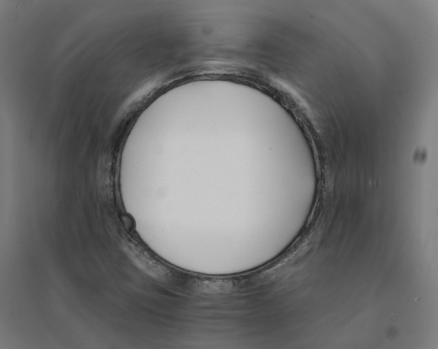 X0000094431403200712061104