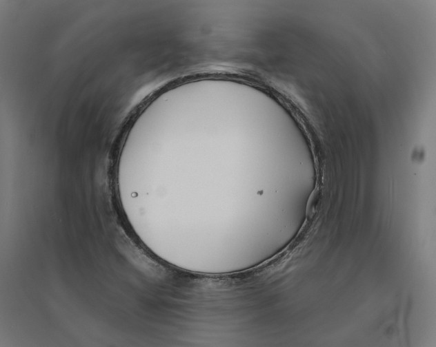 X0000094431404200712061104