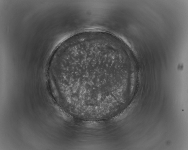 X0000094431405200712061104