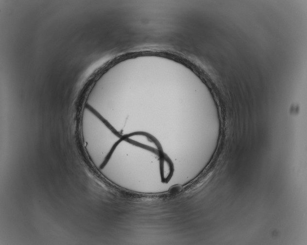 X0000094431406200712061104