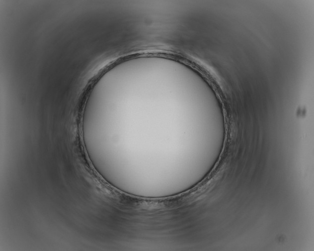 X0000094431407200712061104