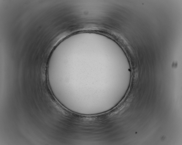 X0000094431409200712061104