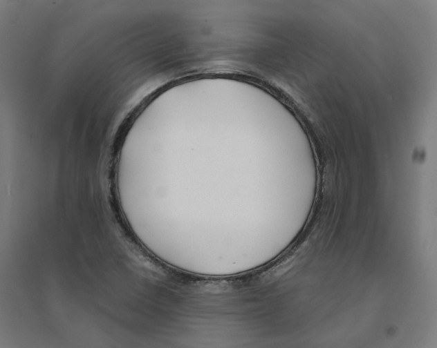 X0000094431410200712061104