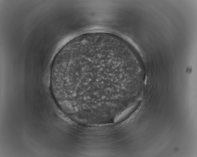 X0000094431413200712061104