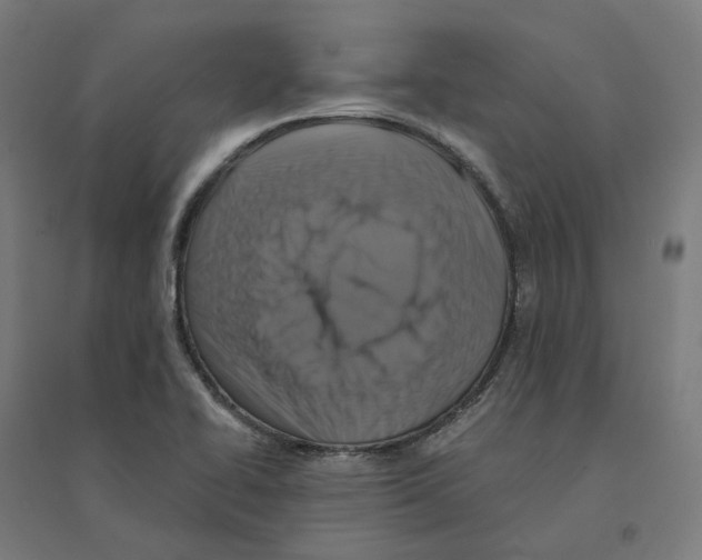 X0000094431414200712061104