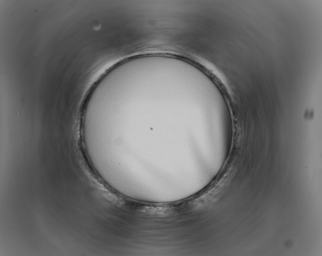 X0000094431415200712061104