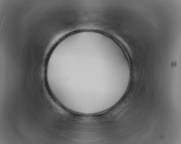 X0000094431416200712061104