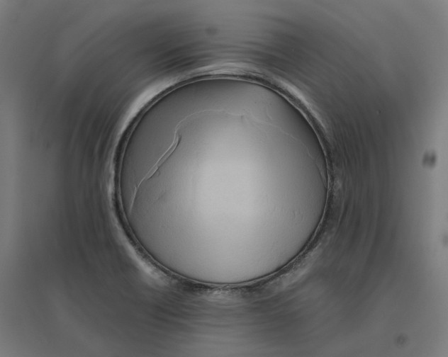 X0000094431418200712061104