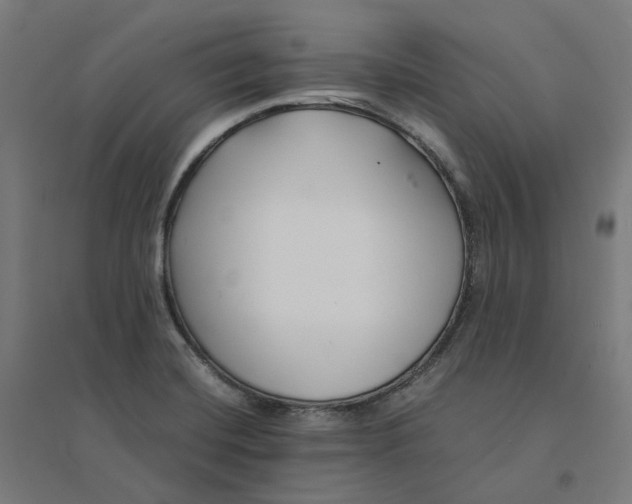 X0000094431420200712061104