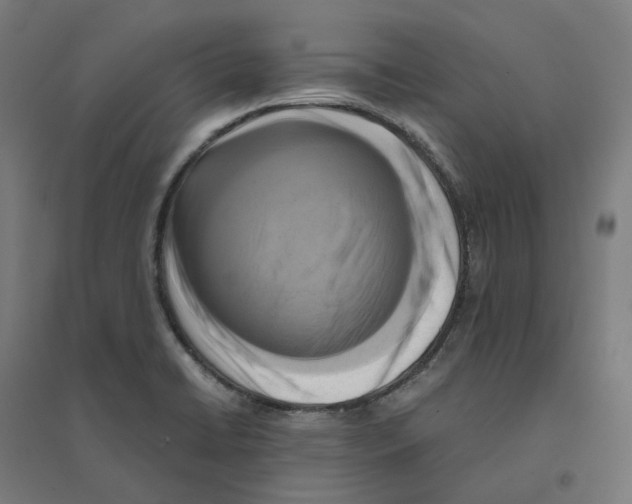 X0000094431422200712061104