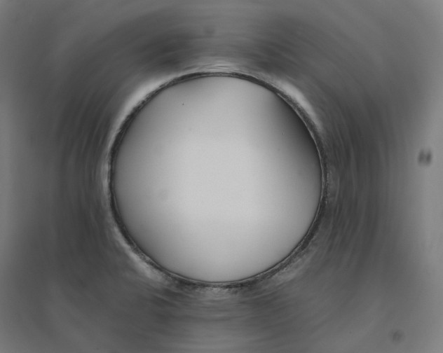 X0000094431424200712061104