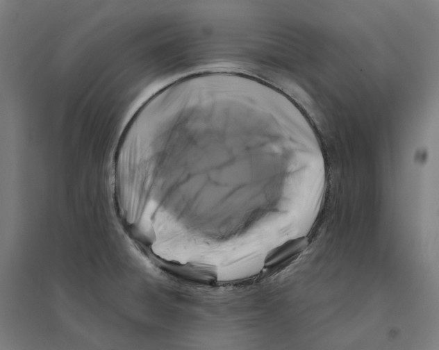 X0000094431428200712061104