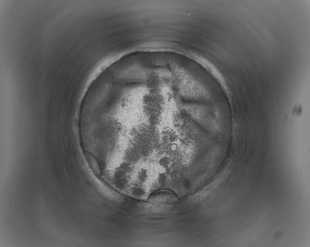 X0000094431429200712061104