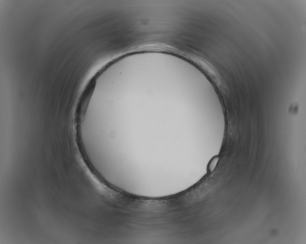 X0000094431430200712061104