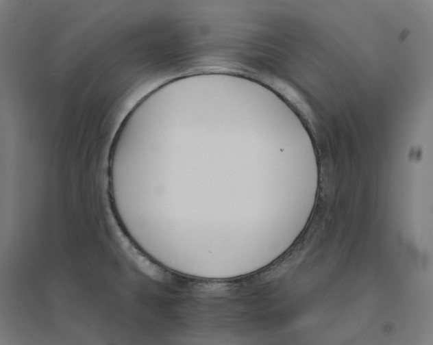 X0000094431431200712061104