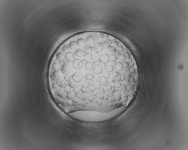 X0000094431432200712061104