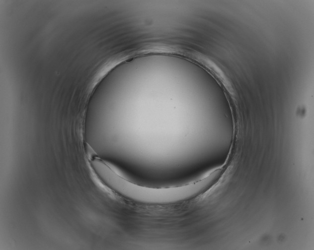 X0000094431433200712061104