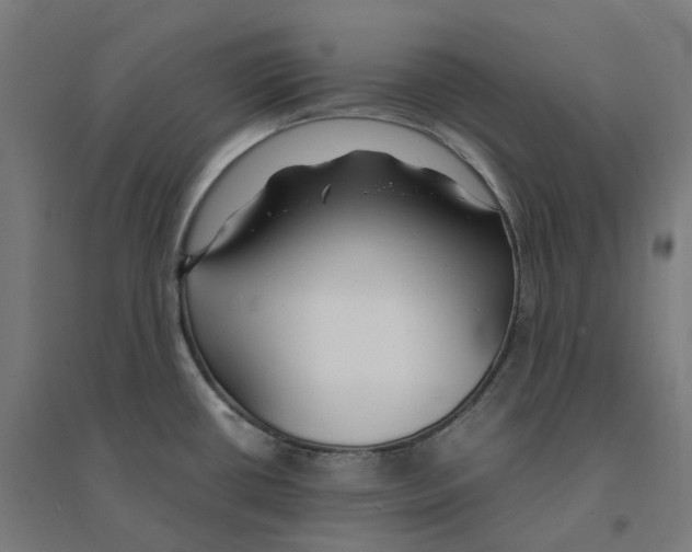 X0000094431434200712061104