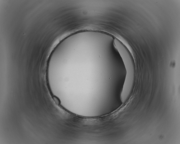 X0000094431437200712061104