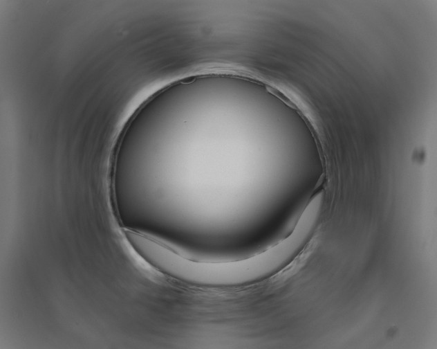 X0000094431438200712061104