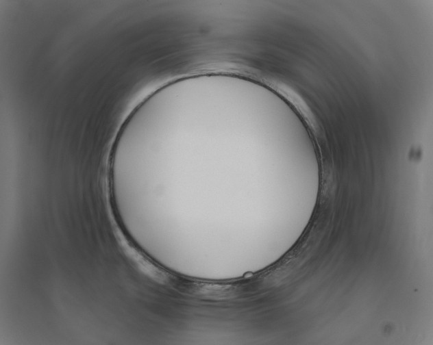 X0000094431439200712061104