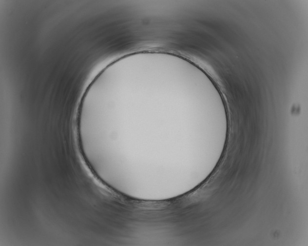 X0000094431440200712061104