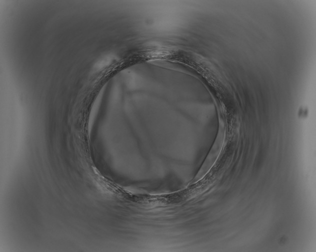 X0000094431441200712061103