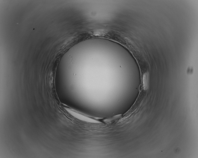 X0000094431443200712061103