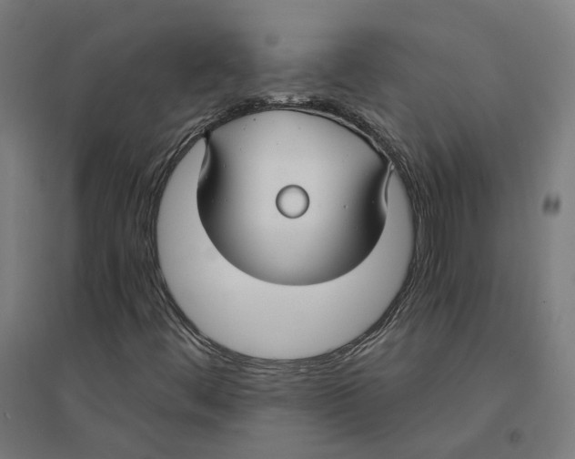 X0000094431444200712061103