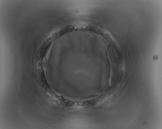 X0000094431445200712061103