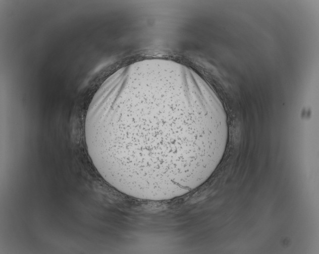 X0000094431446200712061103