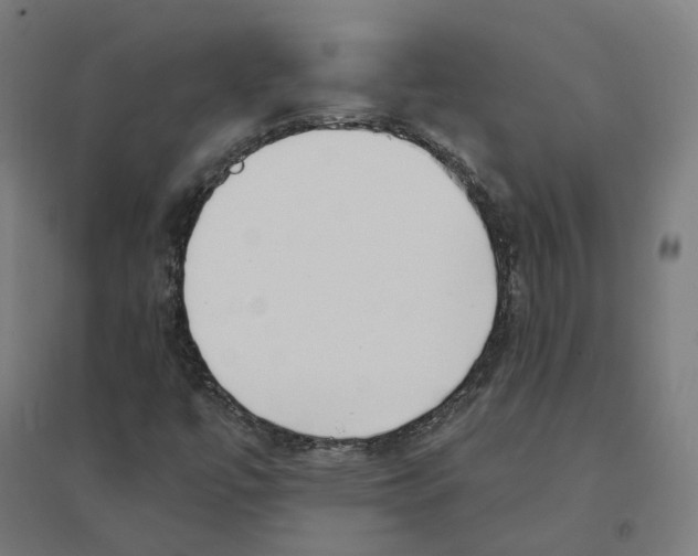 X0000094431447200712061103