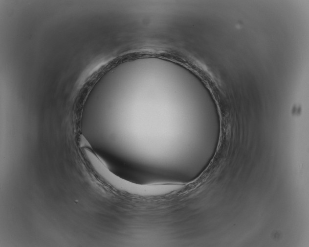 X0000094431448200712061103