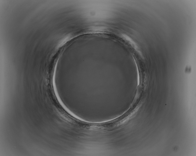 X0000094431449200712061103