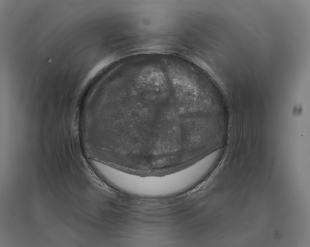 X0000094431450200712061103