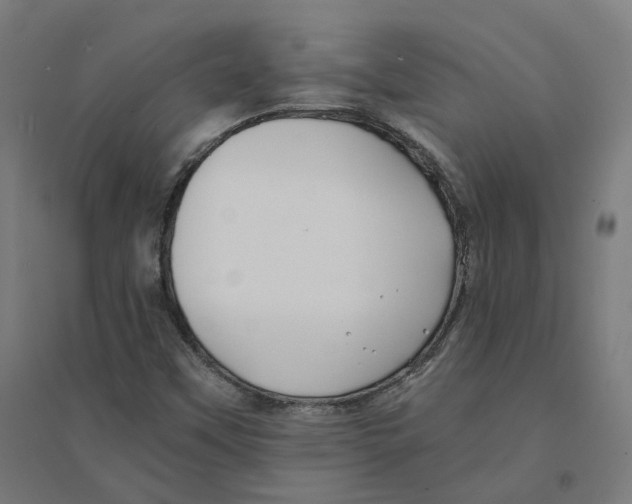 X0000094431451200712061103