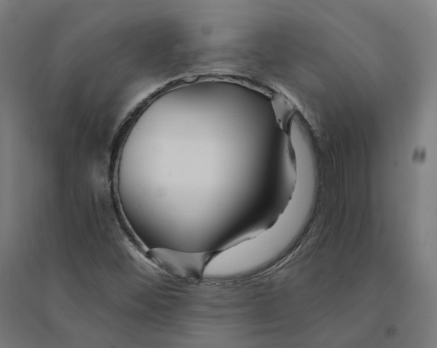 X0000094431452200712061103